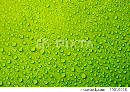 water drops on green background water drops on green background 29019018