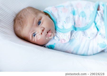 Cute little newborn baby girl wrapped in blanket Cute little newborn baby girl wrapped in blanket 29019228