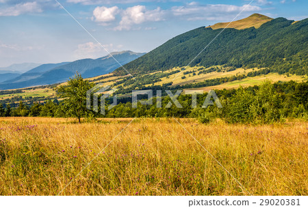 agricultural field in mountains agricultural field in mountains 29020381