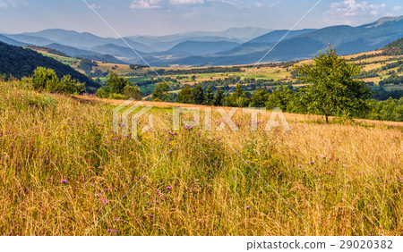 agricultural field in mountains agricultural field in mountains 29020382