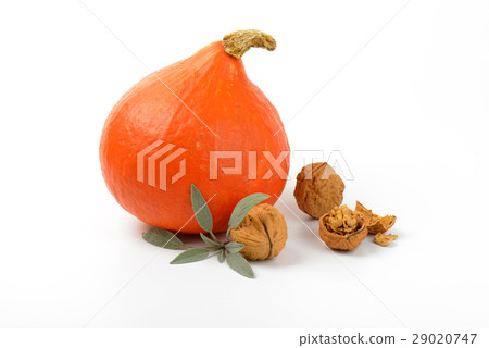 orange pumpkin with walnuts and sage orange pumpkin with walnuts and sage 29020747