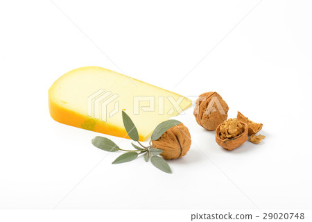 gouda cheese with walnuts and sage gouda cheese with walnuts and sage 29020748