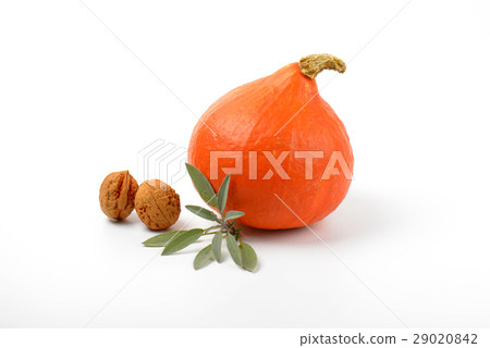 orange pumpkin wtih walnuts and sage 29020842