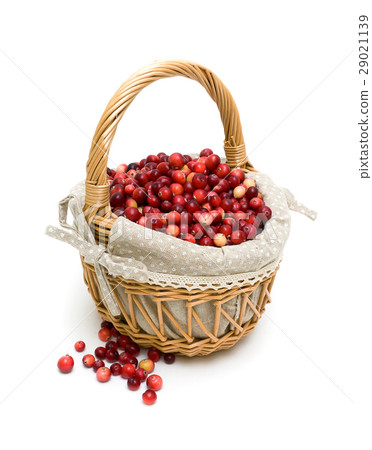 basket with cranberry on a white background basket with cranberry on a white background 29021139