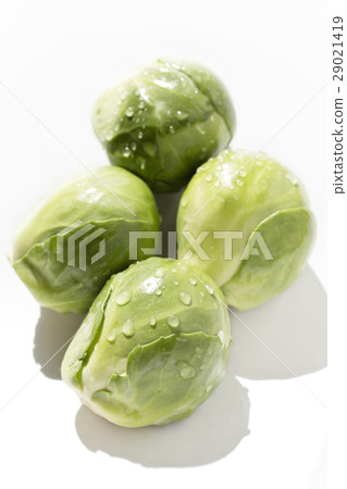 Brussels sprouts 29021419