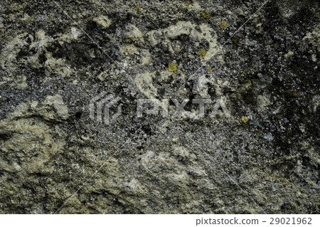 The detail texture of stone. Rock background. 29021962