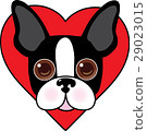 Boston Terrier Face 29023015