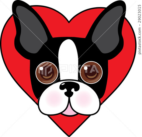 Boston Terrier Face 29023015