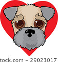 Wheaten Terrier Face 29023017