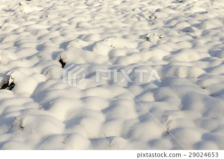 snow drifts, close-up 29024653