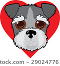 Schnauzer Face 29024776