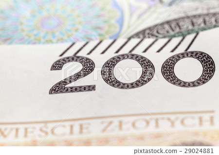 Polish Zloty closeup Polish Zloty closeup 29024881