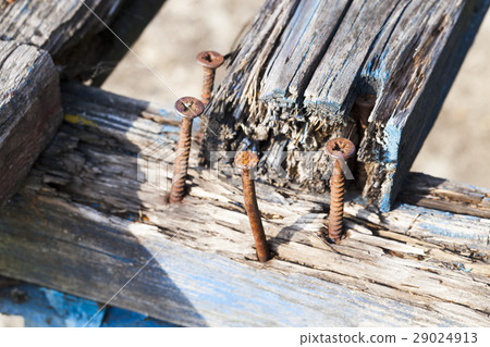 old rusty screw 29024913