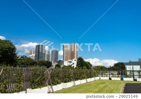 Shibaura Central Park Shinagawa Season Terrace的側面建築群 Shibaura Central Park Shinagawa Season Terrace的側面建築群 29025149
