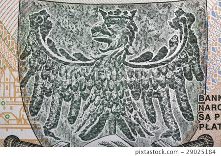 Eagle, emblem of Poland on zloty banknote macro 29025184