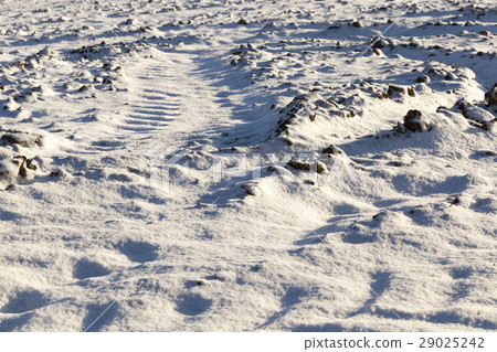 Photo snow, close-up Photo snow, close-up 29025242