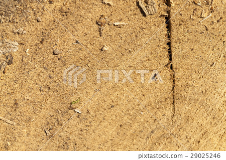 old split wood old split wood 29025246