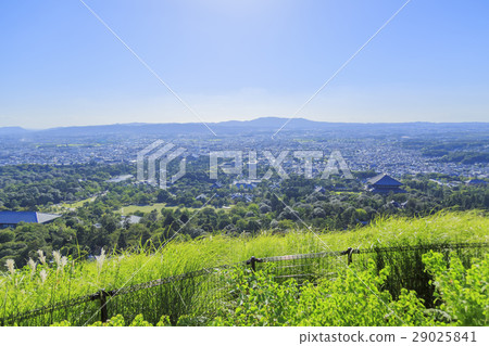 View from Nara prefecture · Wakakusa mountain 29025841