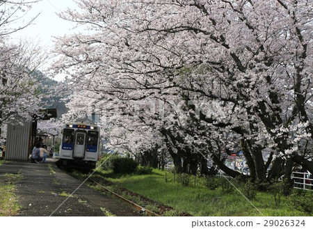 Sakura Station Uranosaki Station 29026324