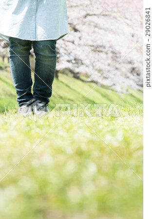 Spring image Spring image 29026841