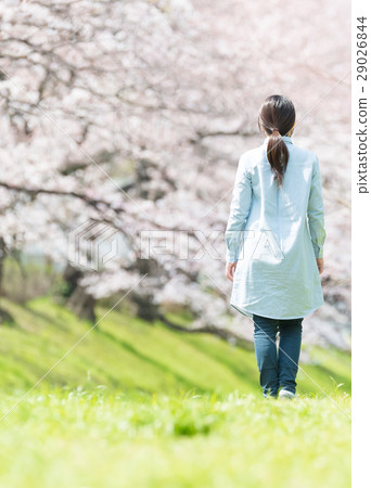 Spring image 29026844