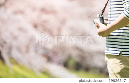 Spring image 29026847