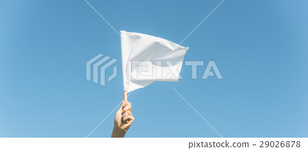 一面旗幟 29026878
