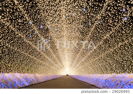 Nabana no Sato garden at night Nagoya. 29026993