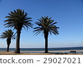 Coastal scenery 29027021