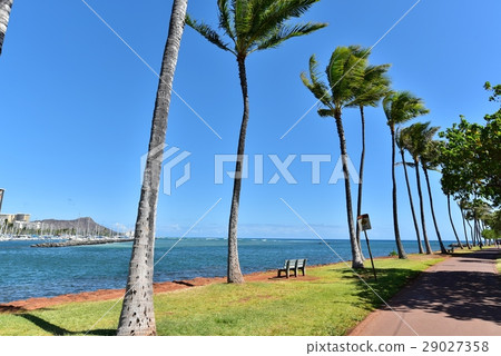 夏威夷的假期 夏威夷的假期 29027358