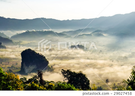 sunshine on the morning mist at Phu Lang Ka Phayao 29027458