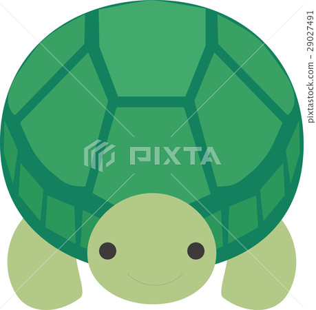一隻正面的烏龜 一隻正面的烏龜 29027491