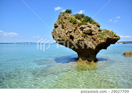 從Higa Higa Bridge到沖繩縣Uruma-shi Hamahigajima Amamaichu的海灘 29027709