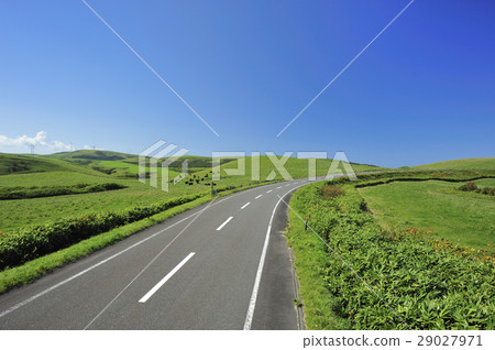 一條路 29027971