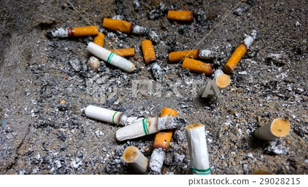 Cigarettes butts. 29028215
