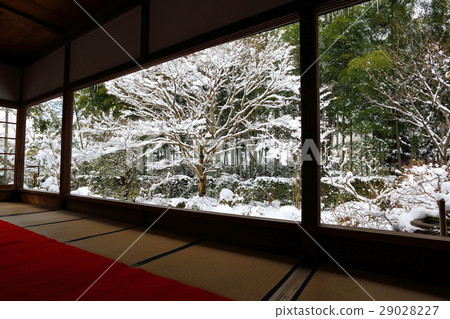 Sanzenin Snow Sanzenin Snow 29028227