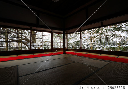 Sanzenin Snow Sanzenin Snow 29028228