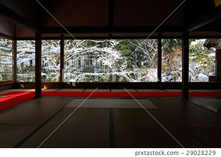 Sanzenin Snow Sanzenin Snow 29028229