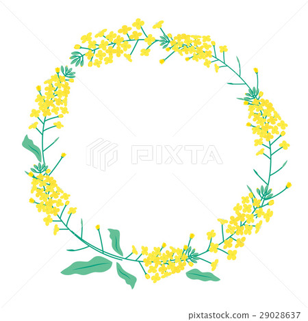 強姦花例證框架 強姦花例證框架 29028637