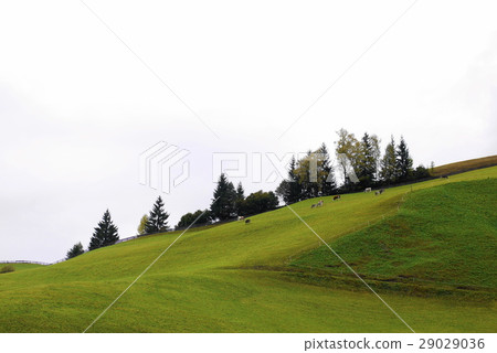 santa maddalena Village of Santa Maddalena 29029036