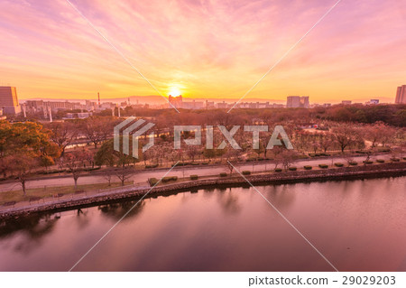Osaka Castle Park Bairin forest sunrise 29029203