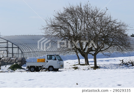 一個積雪的乙烯基房子領域和輕型貨車 29029335