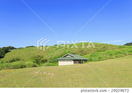 奈良縣·若草山·一年級 29029673