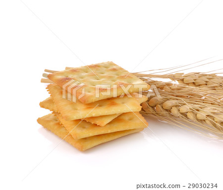Saltine cracker on white background Saltine cracker on white background 29030234