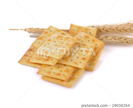 Saltine cracker  on white background 29030264