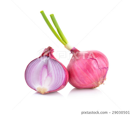 Red onion isolated on white background Red onion isolated on white background 29030501