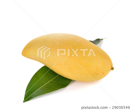 ripe yellow mango with green leaf on white 29030549