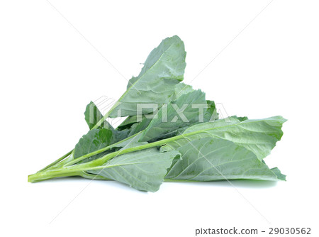 Chinese Brocolli  on white background 29030562