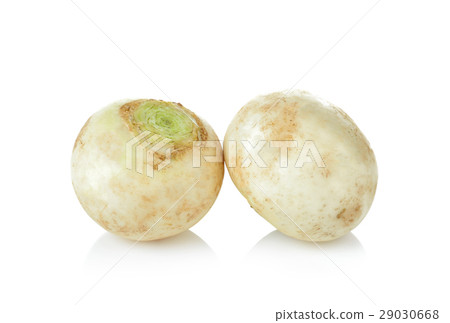 Mini white turnips on white background Mini white turnips on white background 29030668