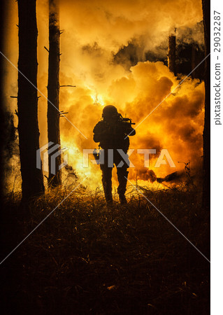War in the forest War in the forest 29032287